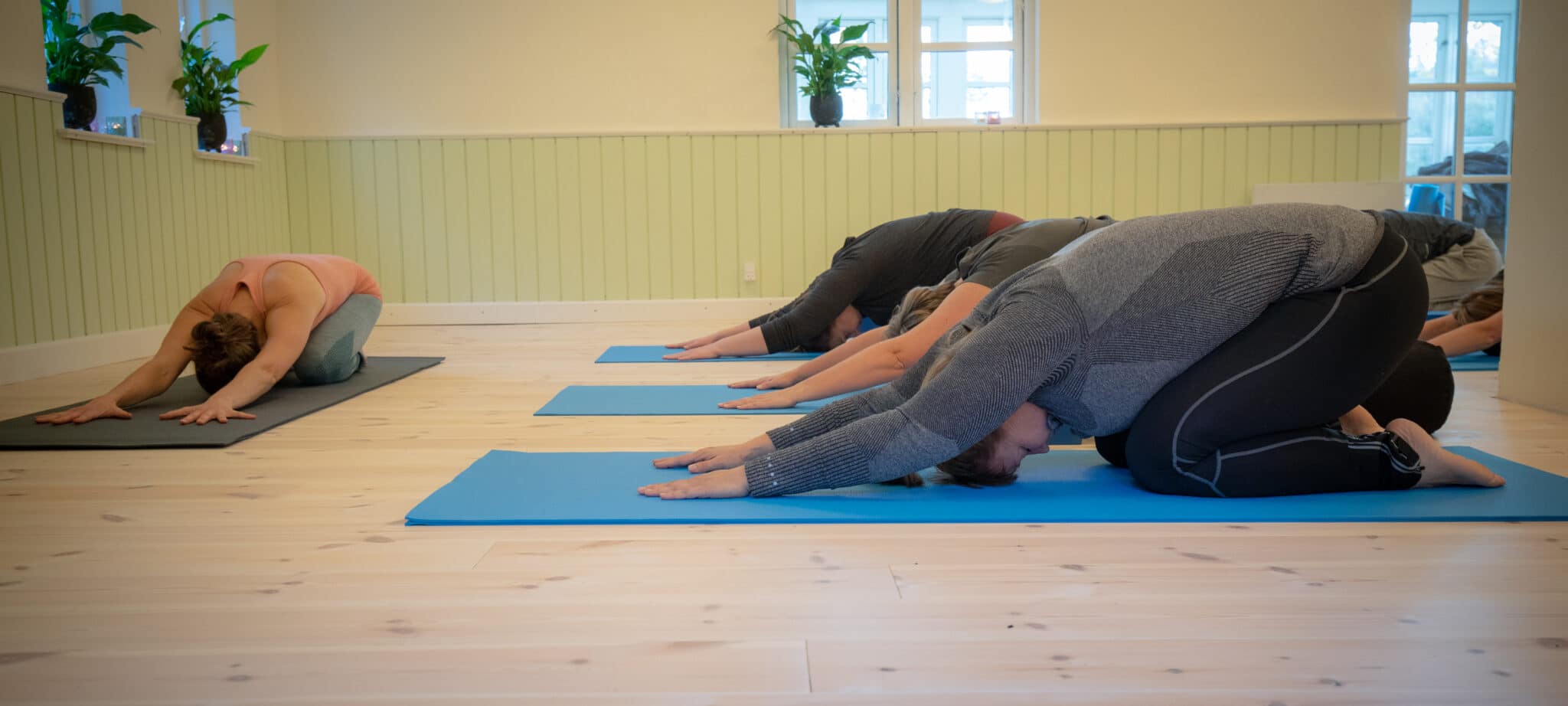 Denne yogatime baserer sig på den klassiske Hatha yoga. Igennem timen arbejder vi både aktivt og nænsomt med kroppen, og vi veksler mellem styrkende, smidiggørende og afspændende yogastillinger.